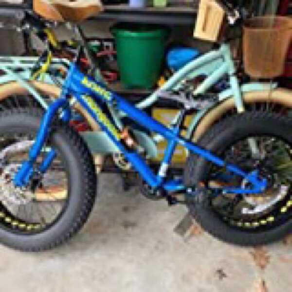 Mongoose Kong Fat Tire Mountain Bike For Kids 20 Inch Wheels