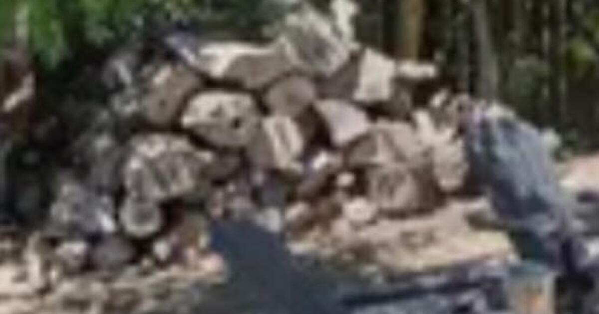 firewood for Free in Boise, ID For Sale & Free — Nextdoor