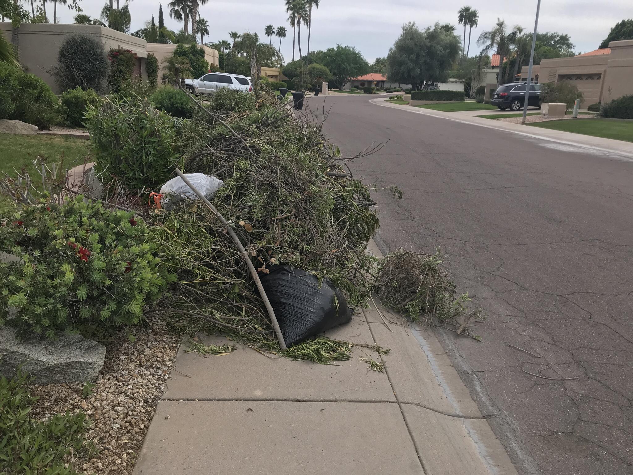 Waste Trivia Wednesday! How many days prior to your collection week can you place out your brush