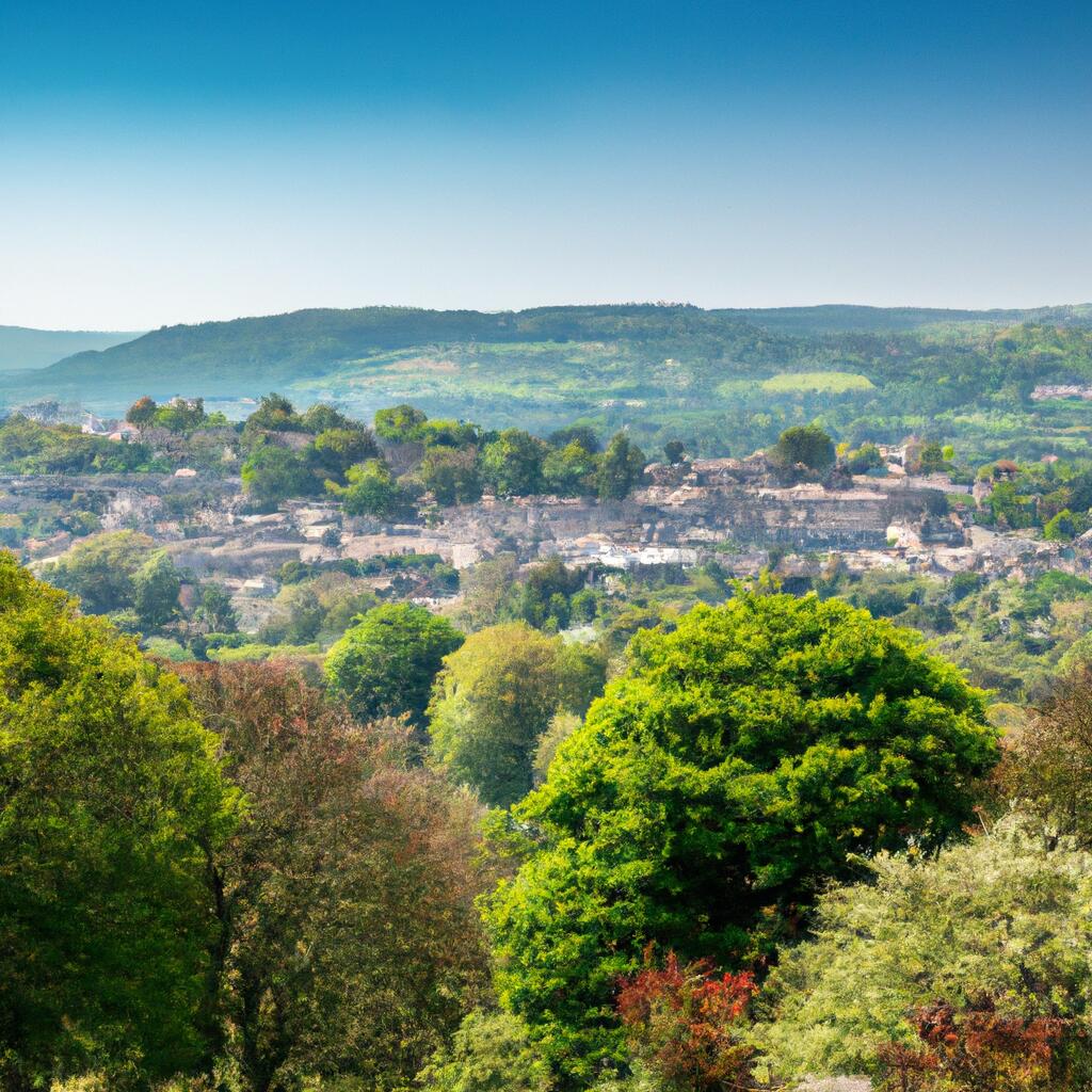 Bincombe, Bincombe | Everything You Need to Know