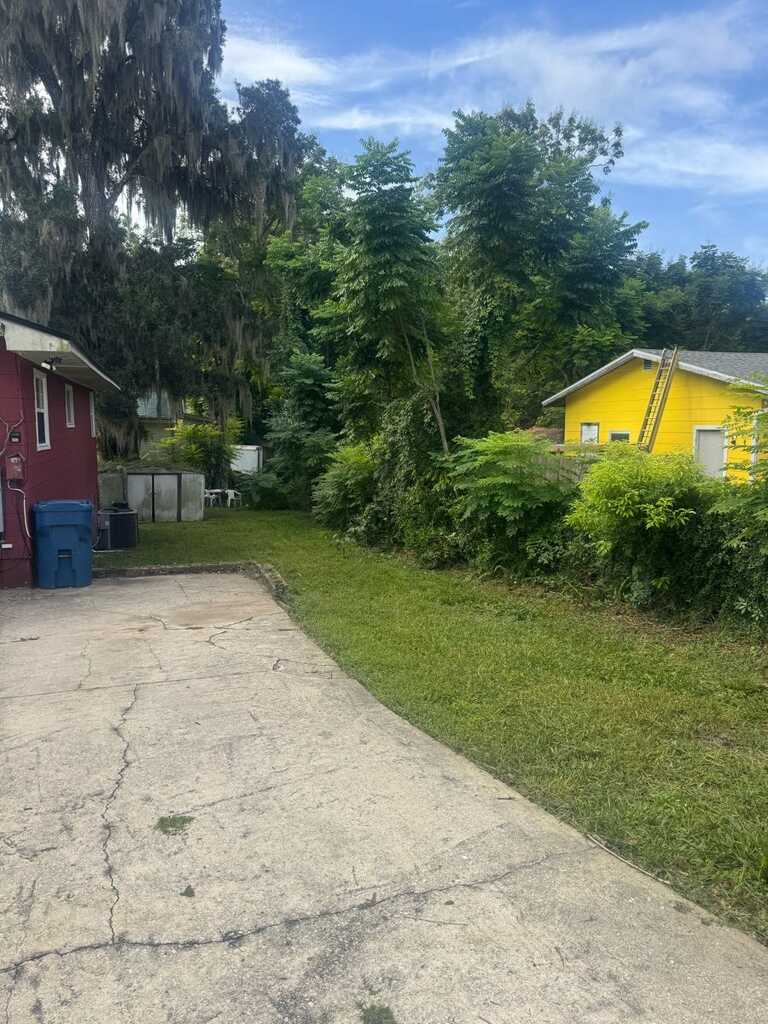 Clean driveway edge after lawn service