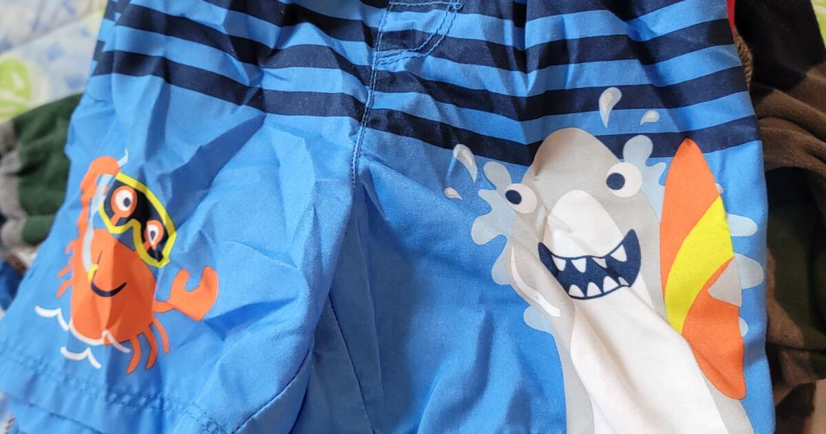 Boy Clothes Bundle From 0 Months To 4 Years Old for 150 in Bluffton