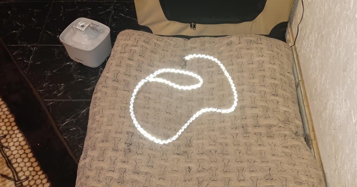 Jbl King Size Bed Pet Supplies in Lubbock, TX For Sale & Free — Nextdoor