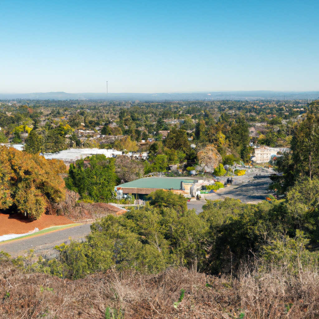 Park Forest, Menlo Park News, Crime, Lost Pets, Free Stuff