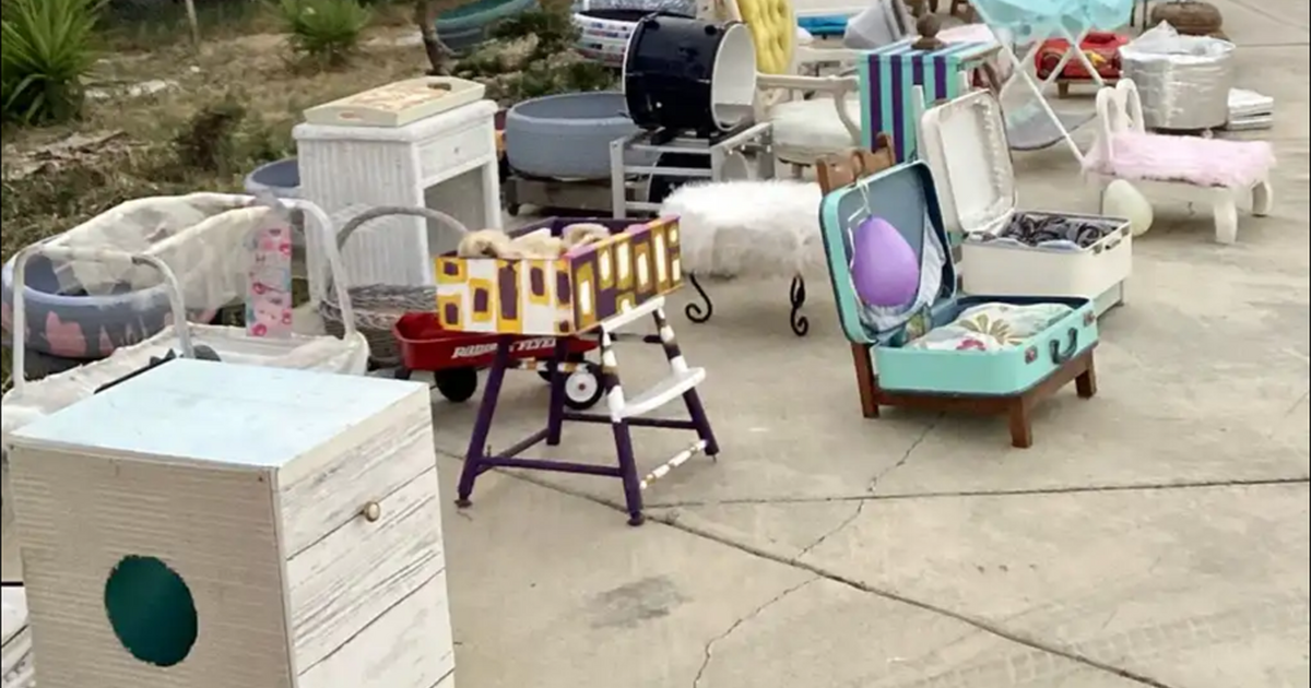 Pet Bed Extravaganza & More! for Free in Orinda, CA Finds — Nextdoor