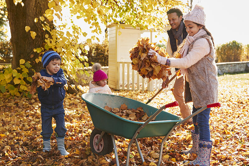 louisville co leaf drop off