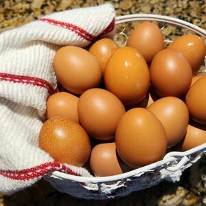 Christmas Special! $4/dozen if you bring extra containers!