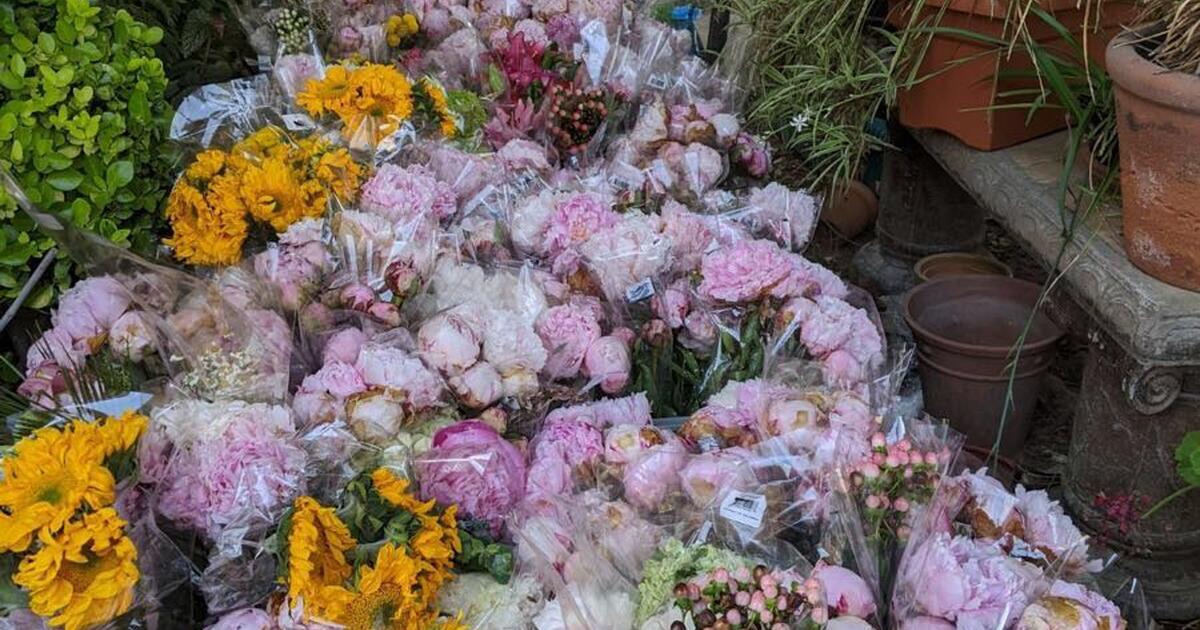 Flowers for 5 in Orangevale, CA Finds — Nextdoor
