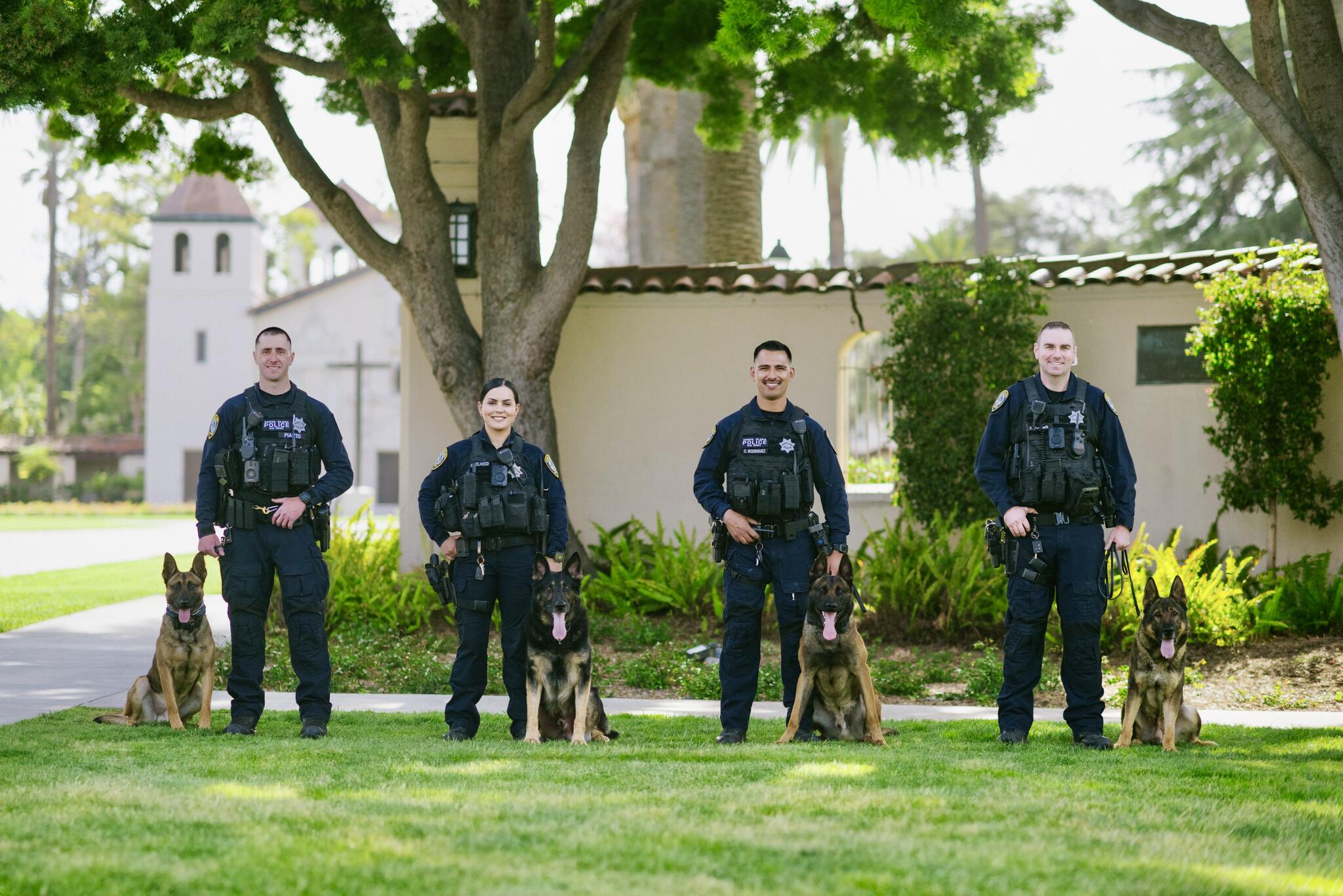 Introducing our newest additions to the K9 Unit, K9 Brock and K9 Grom ...