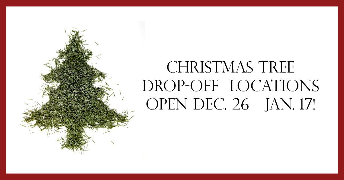 City offers Christmas tree dropoff sites; holiday recycling tips