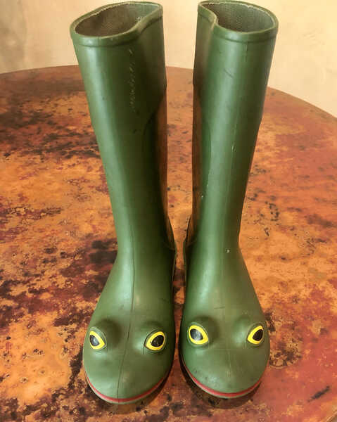 Wellipets frog 2025 rain boots