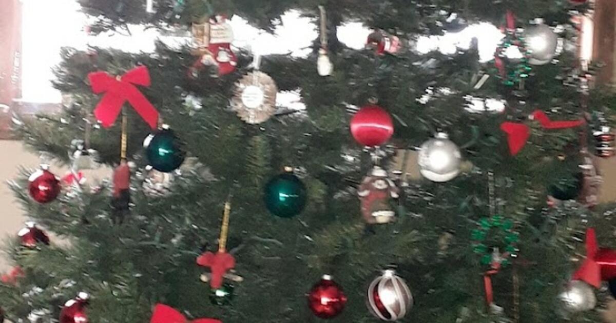 Christmas Tree for Free in Eagan, MN For Sale & Free — Nextdoor
