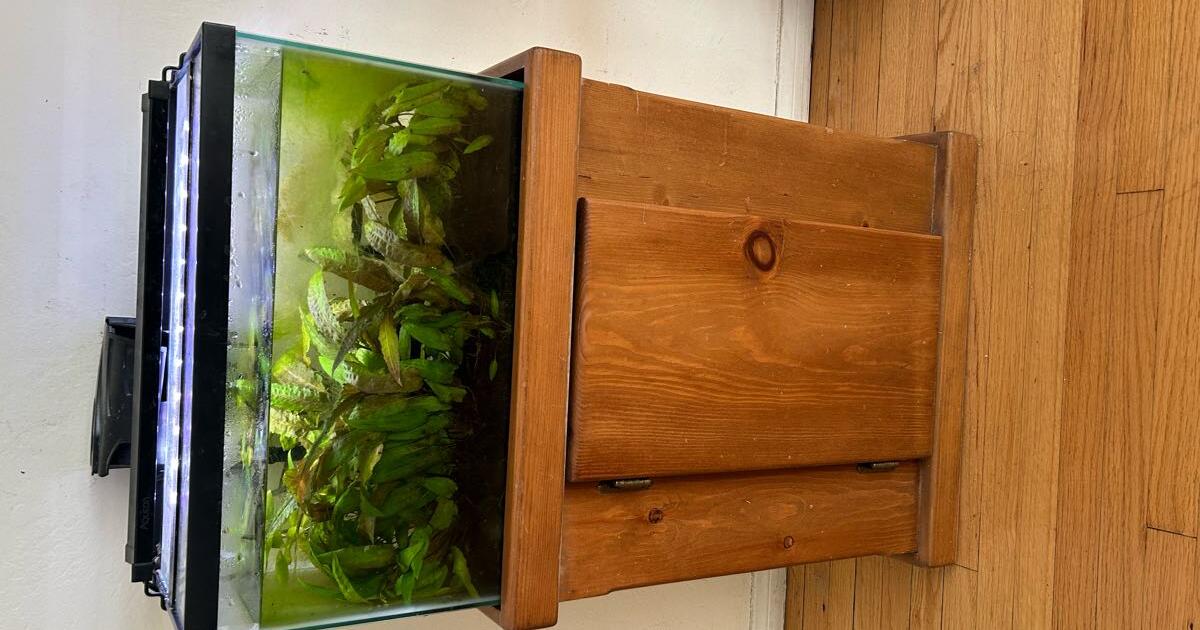 10 gallon aquarium for Free in Santa Barbara, CA Finds — Nextdoor