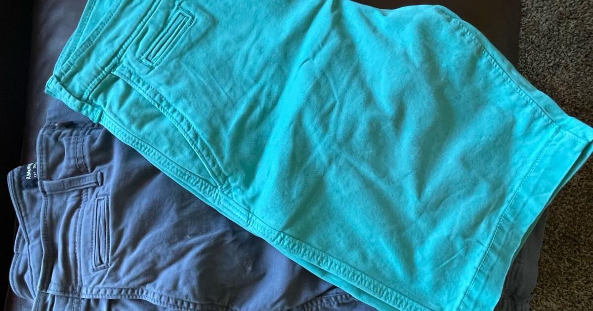 Men s american eagle shorts for 7 in forest lake mn for sale free