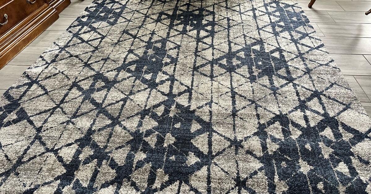 8x10 rug for 50 in Bradenton, FL For Sale & Free — Nextdoor