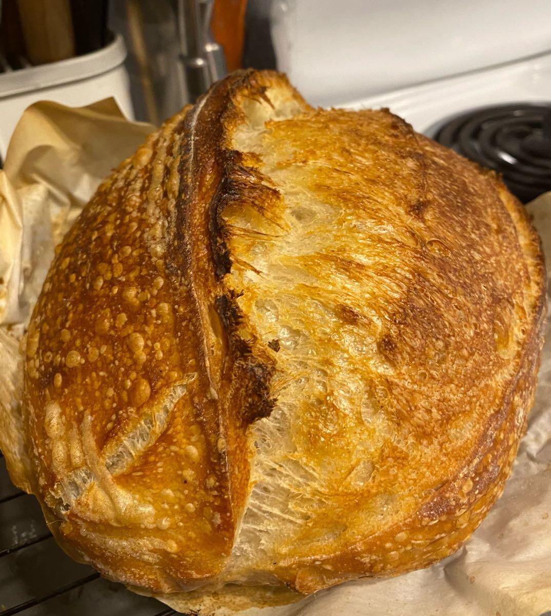 Fresh baked sourdough bread and bagels for 8 in Honolulu, HI For