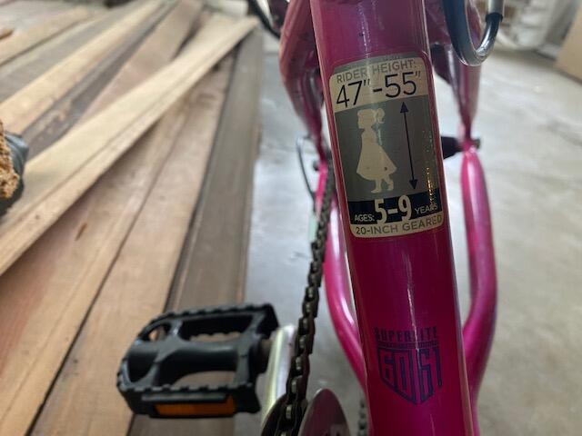 Pink Raleigh Lily 24\