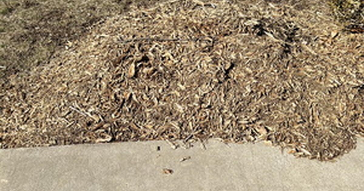 Last chance for free mulch for Free in Columbia, MO For Sale & Free