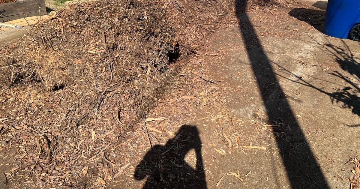 Free mulch and a lot of it!! for Free in Castro Valley, CA For Sale