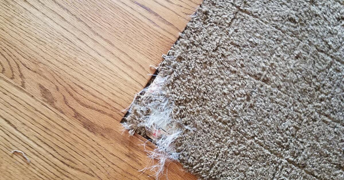 carpet repair and restretch services for Free in Tinley Park, IL