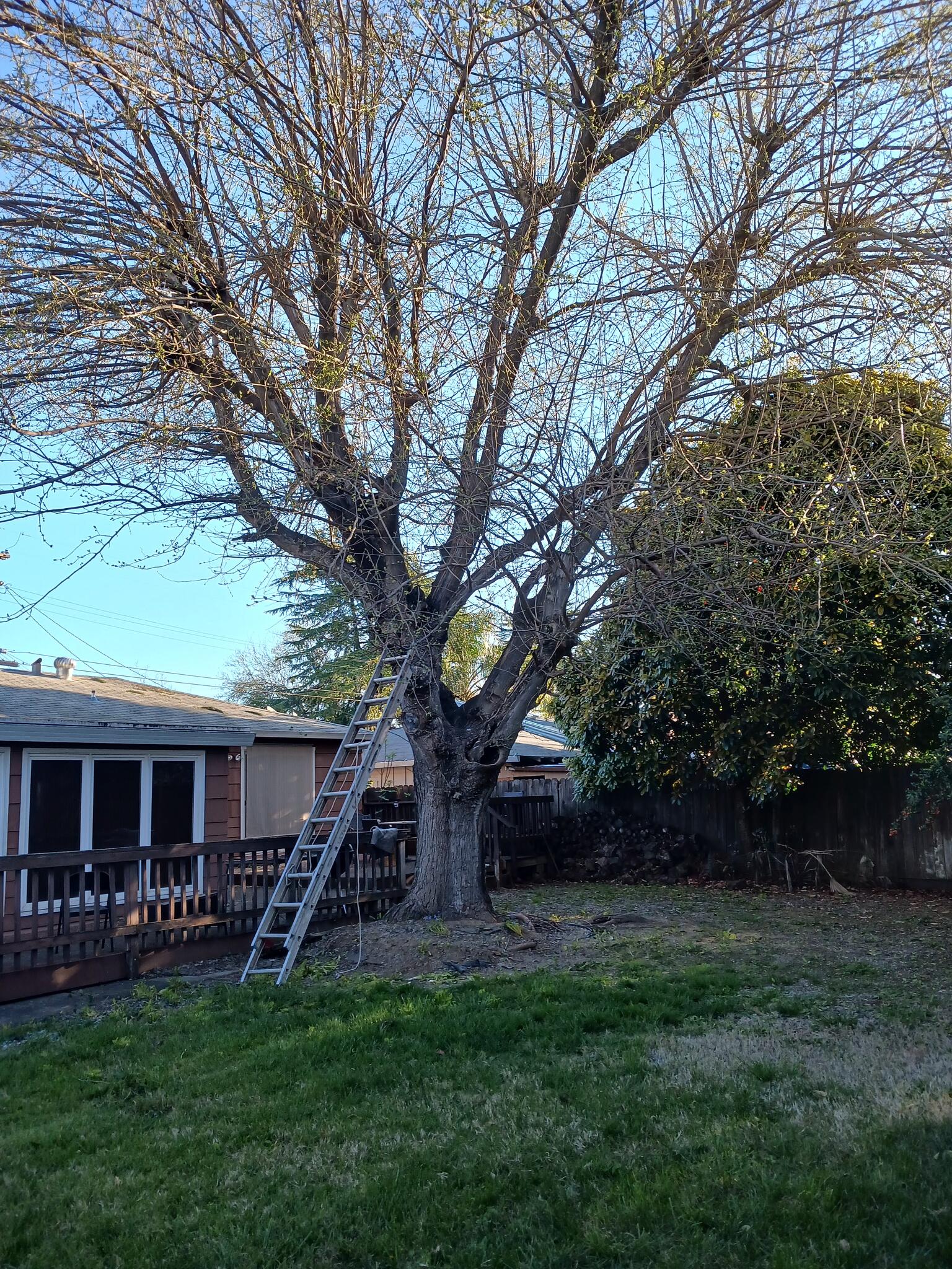 Craigslist Yuba Sutter Housing 83 - bdpgtde