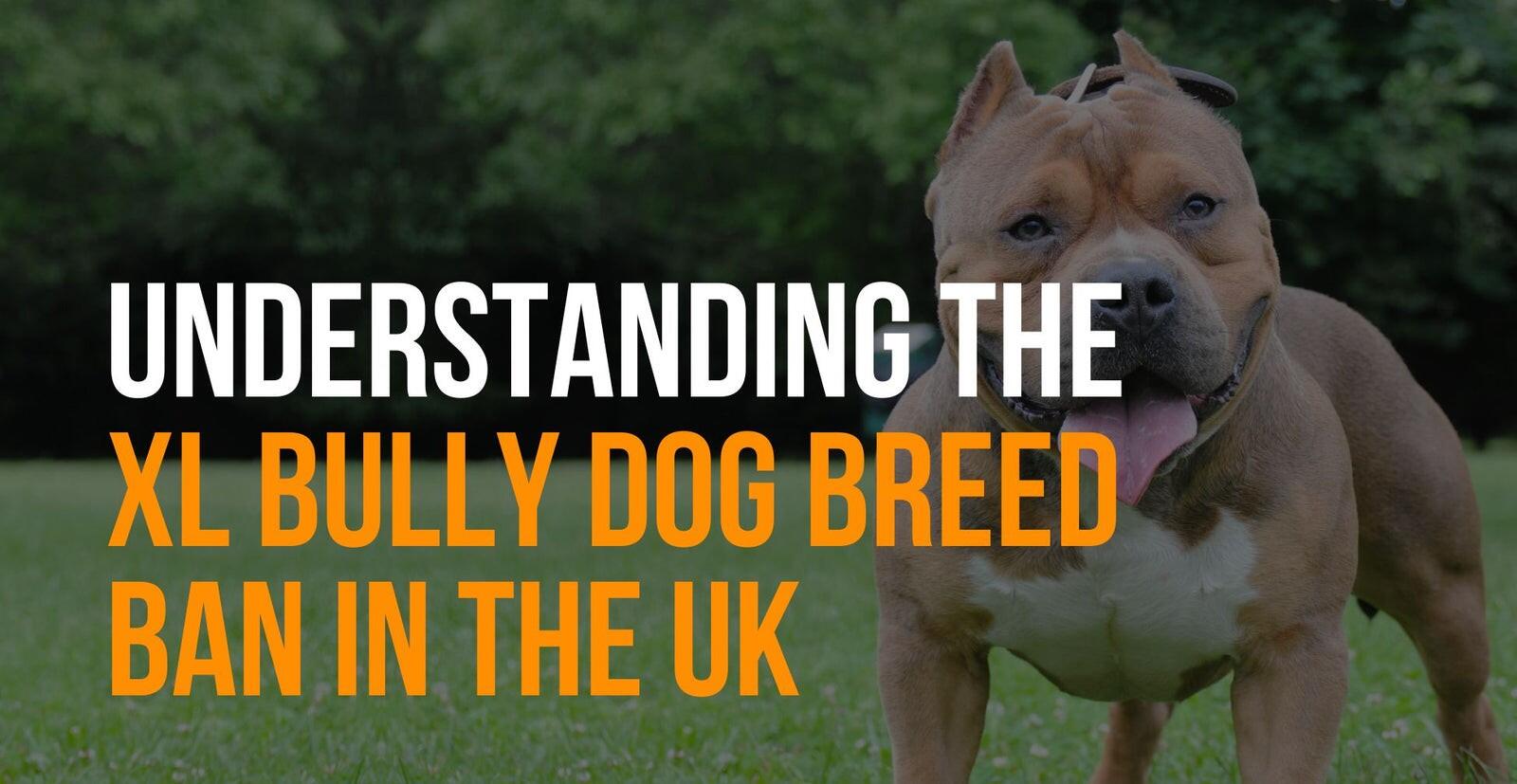 From 31st December 2023 XL Bully Type Dogs Are Now A Recognised Banned   83f6ed5a23779d4c287066120fedc2c5 