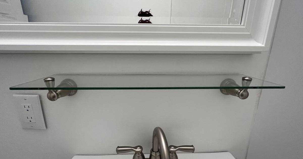 Moen Banbury 5 Piece Bath Hardware Set for 25 in Seattle, WA For