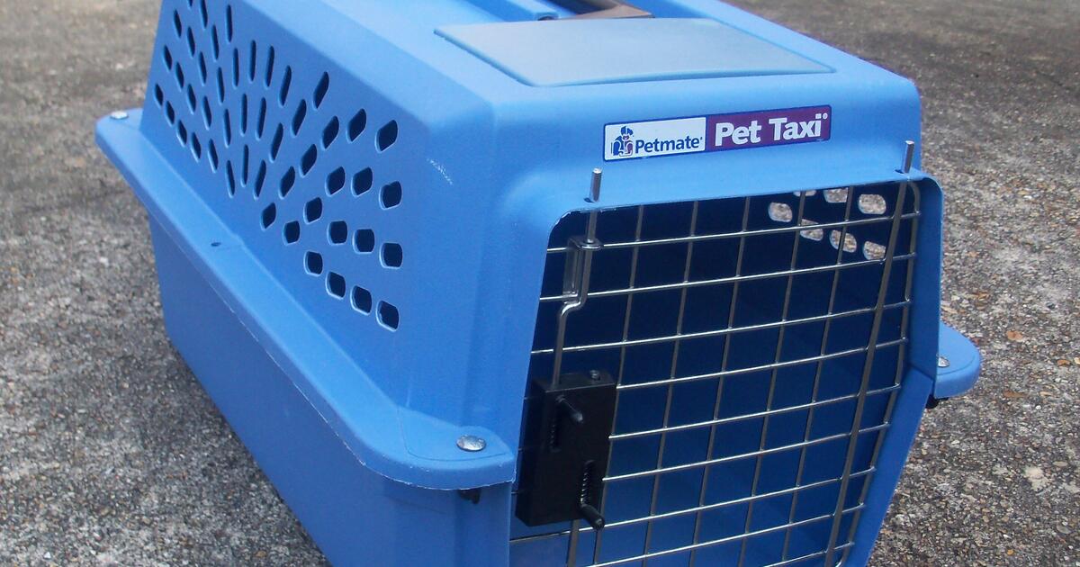 SMALL Petmate Pet Taxi Hard Sided Pet Crate for 10 in Metairie, LA Finds — Nextdoor