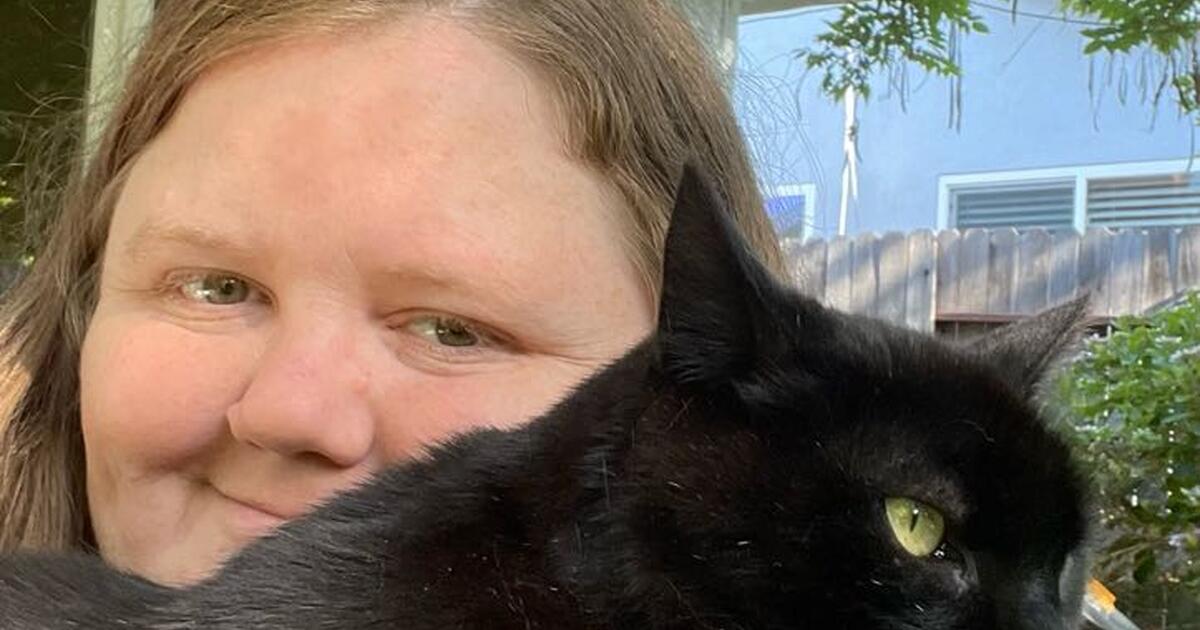 Your best bet for your pet Longtime pet sitter offering affordable