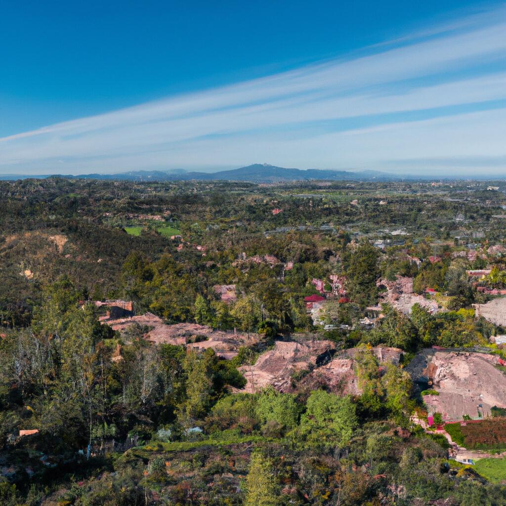 La Mancha, Mission Viejo News, Crime, Lost Pets, Free Stuff