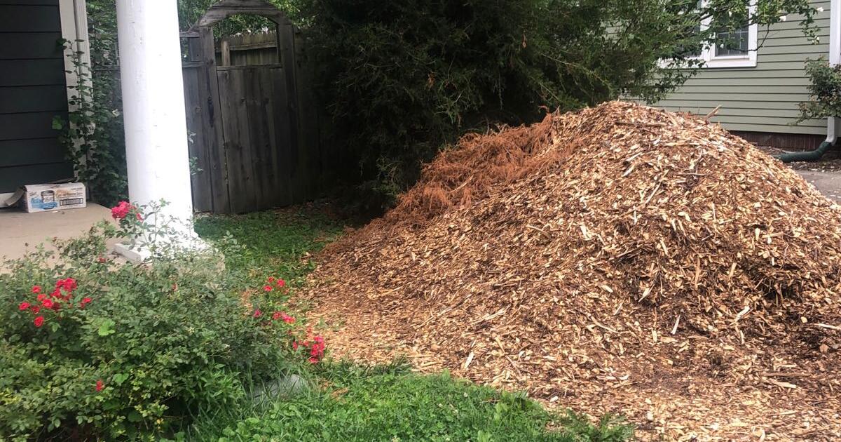 Mulch for Free in Indianapolis, IN Finds — Nextdoor