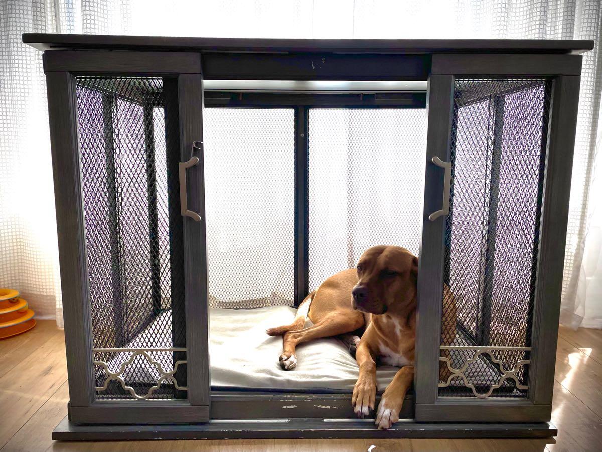 Covington Pet Residence (Large) for 280 in Los Angeles, CA For Sale