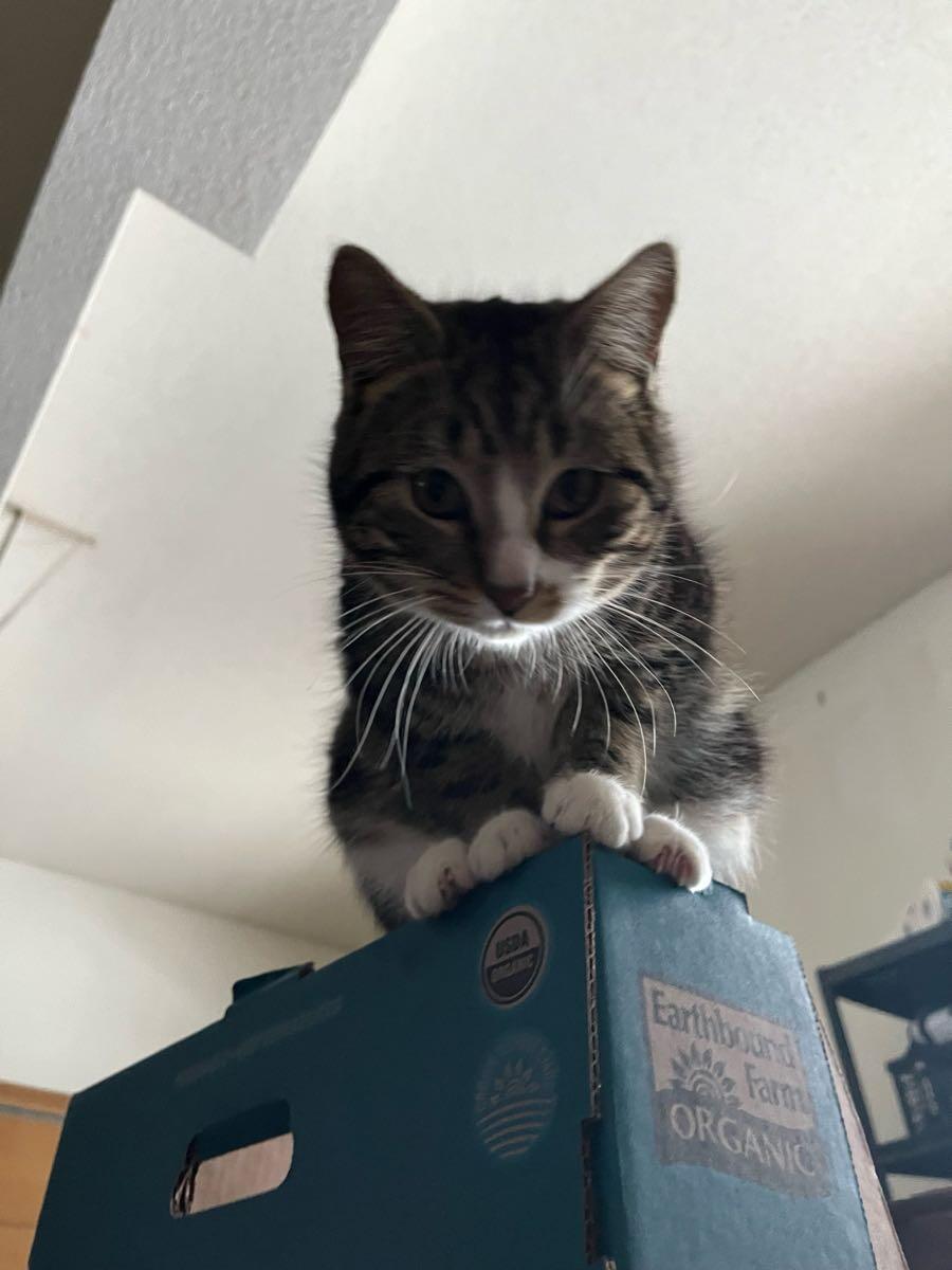 Free Bulbs! for Free in Lenexa, KS For Sale & Free — Nextdoor