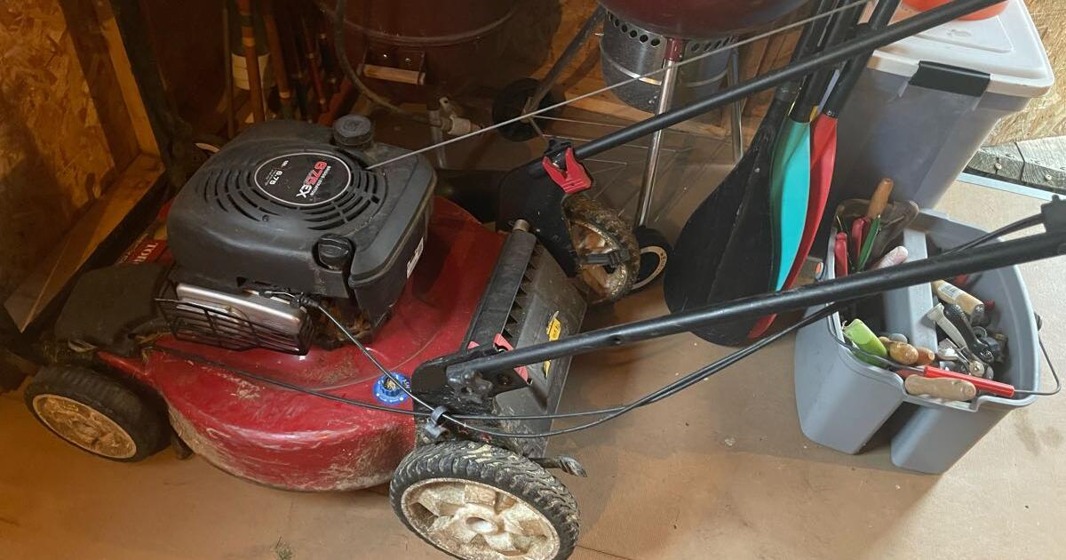 Kit Carburatore , Per B & S 799868 , Per B & S Gold 6.25 6.75 - Foto 8