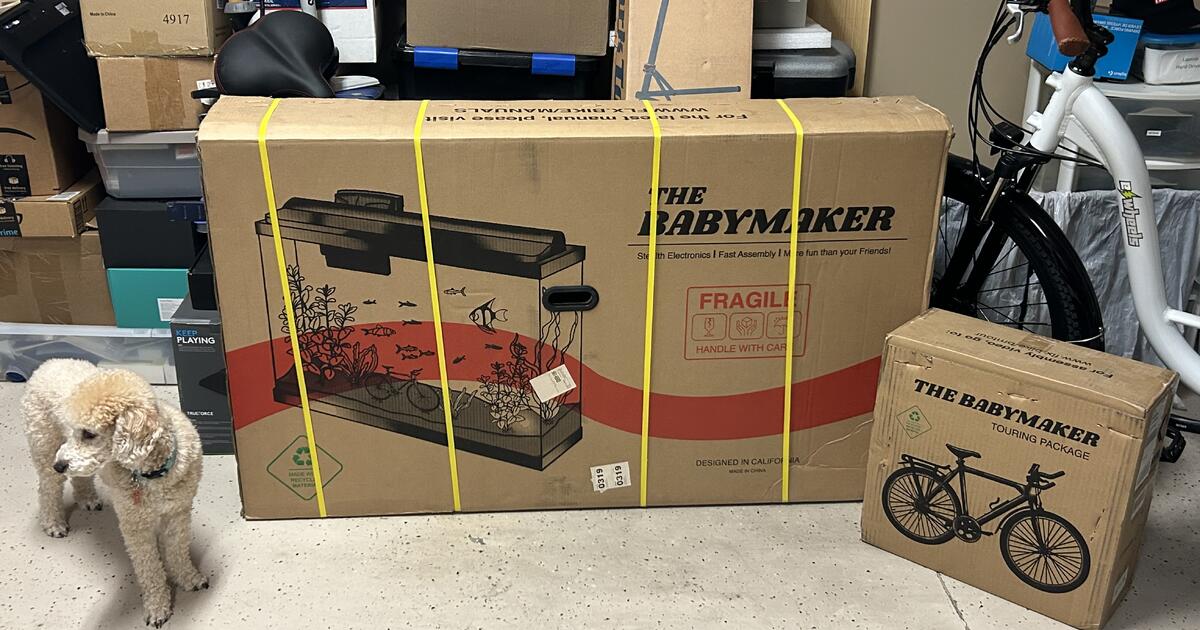FLX BABYMAKER 1 PRO EBike for 560 in Las Cruces, NM For Sale & Free