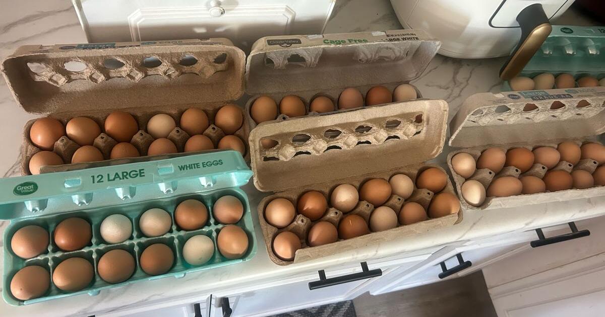 Fresh eggs in Marana, AZ | For Sale & Free — Nextdoor