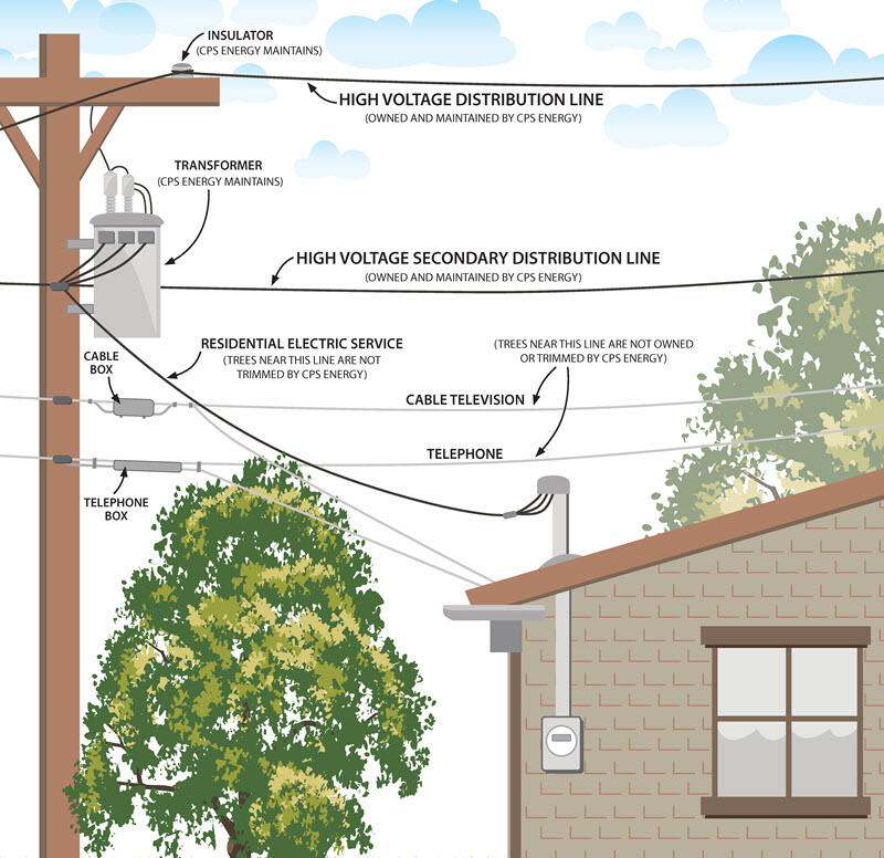 Tree Trimming Maintenance is Coming Soon! (CPS Energy) — Nextdoor ...