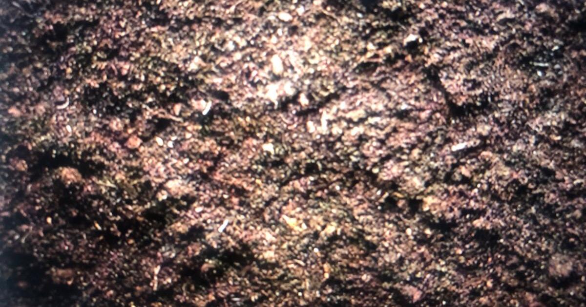 ISO free topsoil for Free in Raleigh, NC For Sale & Free — Nextdoor