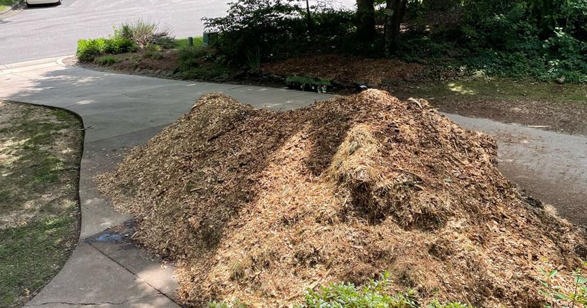 FREE Pine Chip Mulch for Free in Apex, NC For Sale & Free — Nextdoor