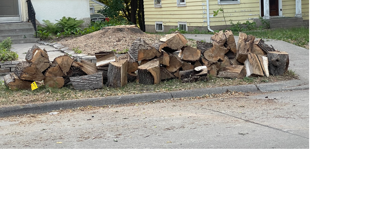 Firewood for Free in Minneapolis, MN For Sale & Free — Nextdoor