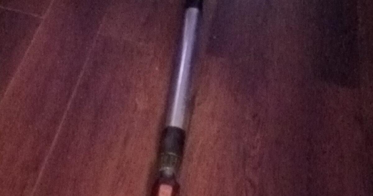 Tree Climber For Hire 1/2 Or Full Day Service for Free in Pinellas Park