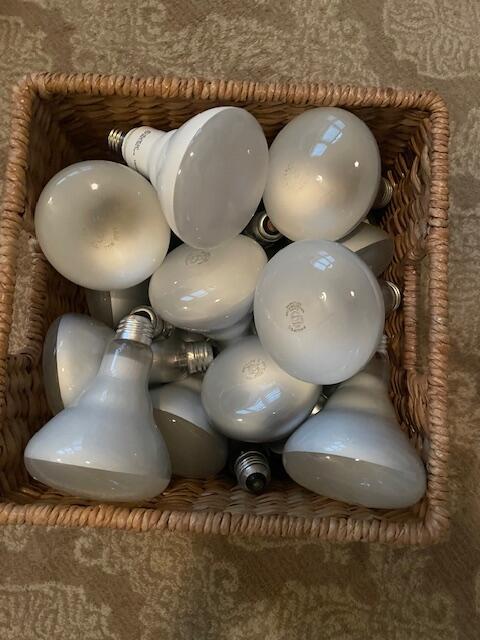 Used 65W Can Light Bulbs