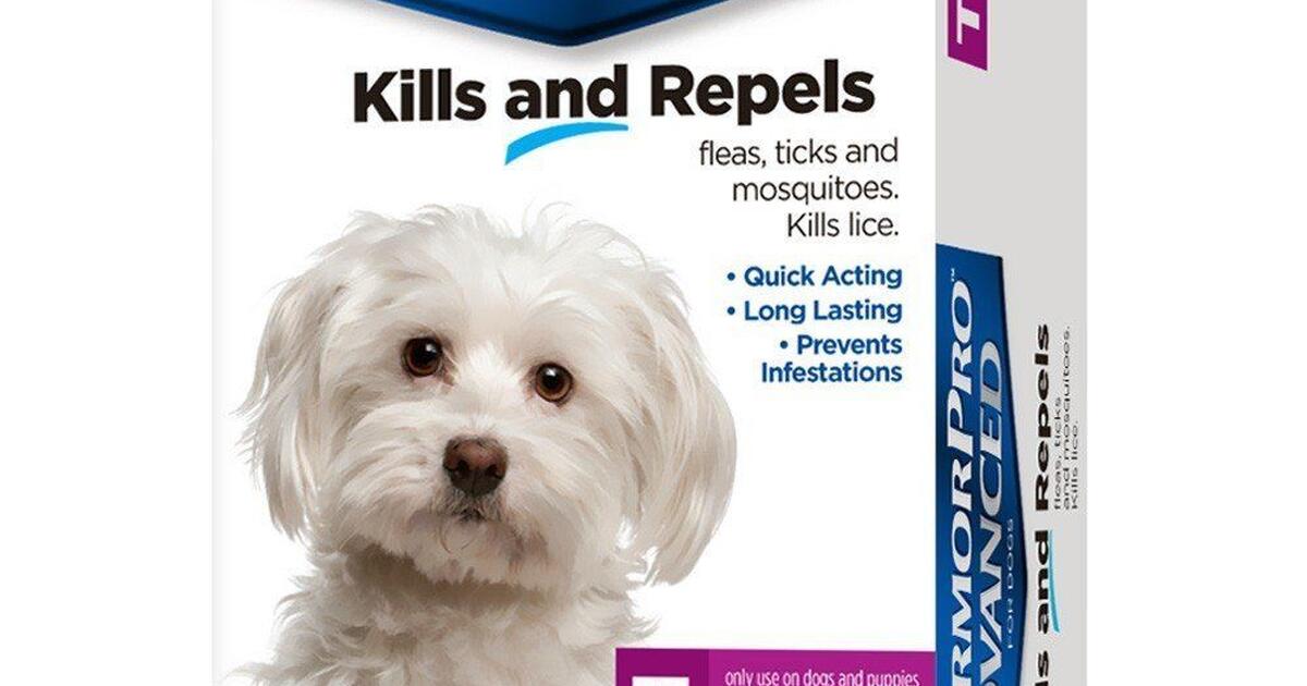 Pet Armor Pro Advanced flea & tick treatment (T 4 10 Lbs) for 15 in