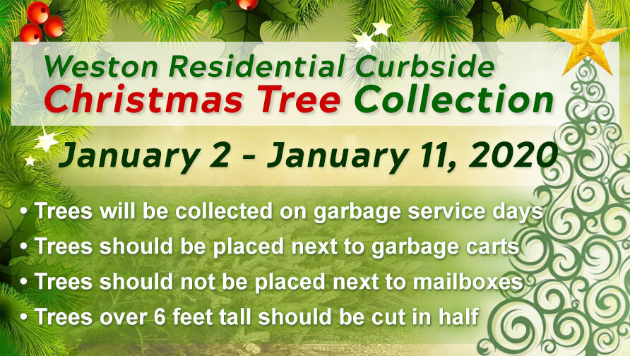 Christmas Tree Curbside Collection Now through January 11 (City of