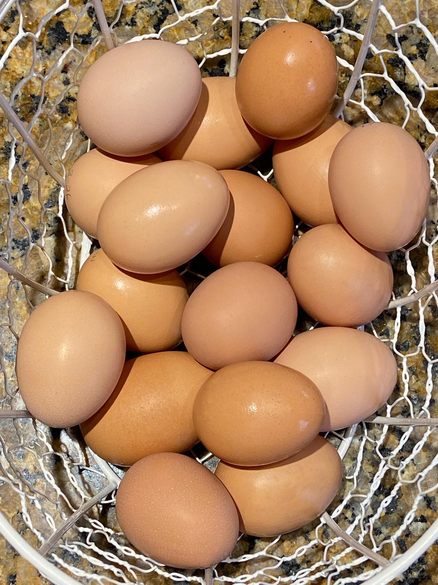 DELICIOUS FREE RANGE BROWN EGGS!!!!!