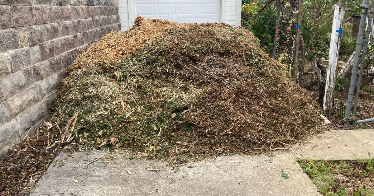 FREE mulch and cutting this weekend only for Free in Santa Barbara, CA