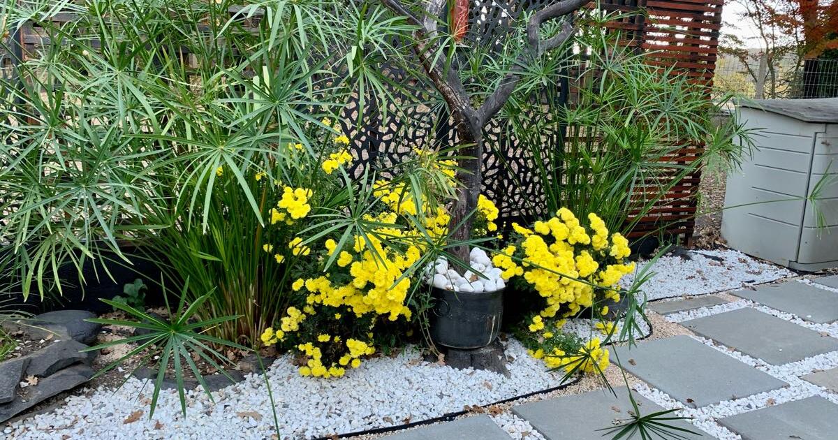 Granny unit for 1750 in Santa Rosa, CA Finds — Nextdoor