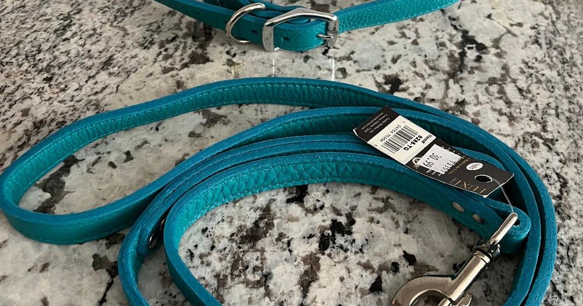 Dog Collar & Leash New With Tag for 20 in Richmond, VA Finds