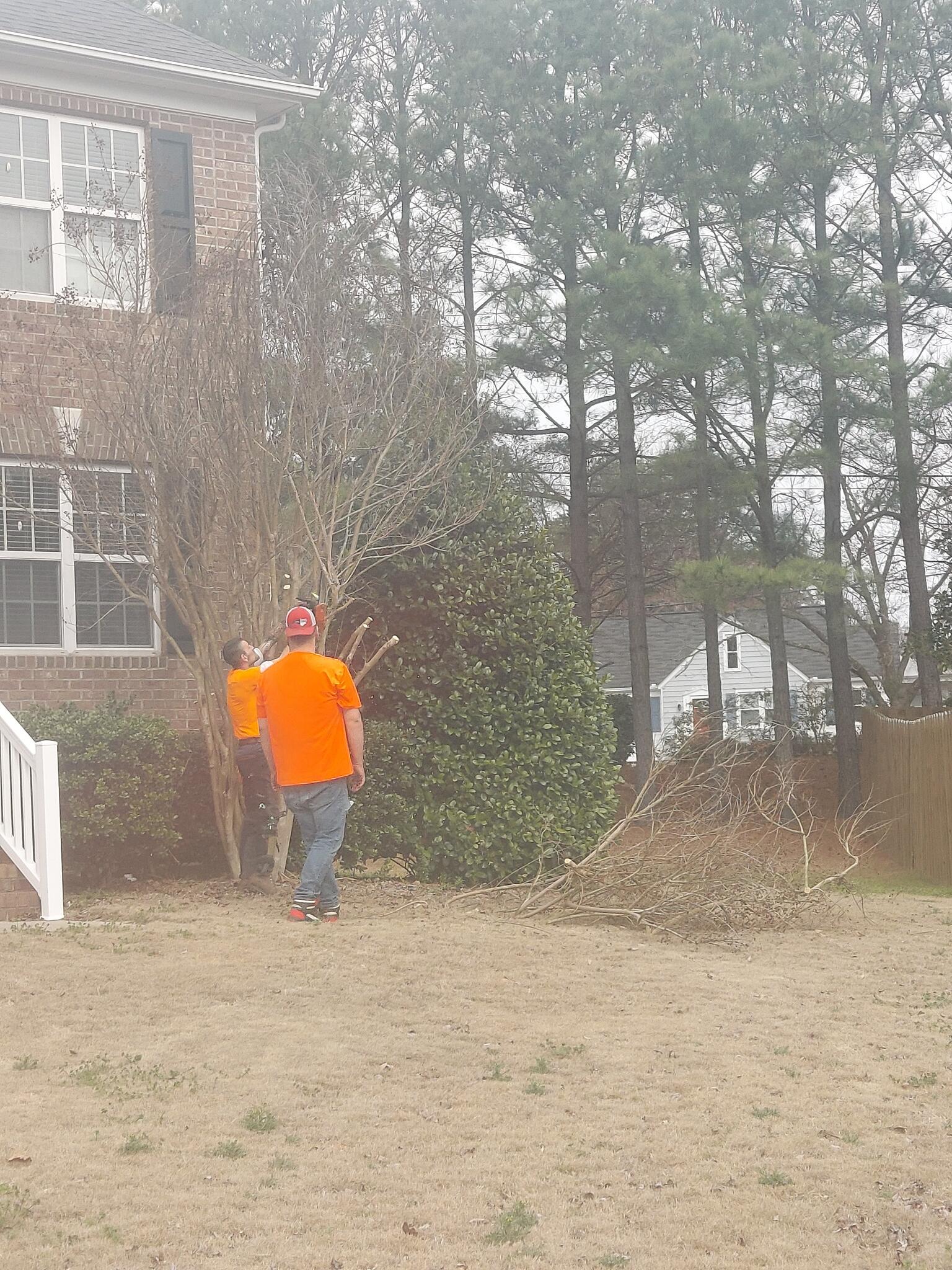 Hamlett Family Tree Service Youngsville, NC Nextdoor