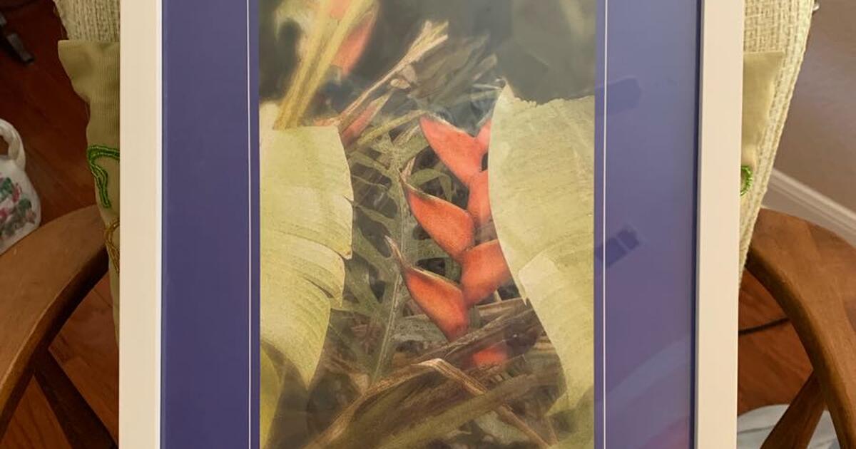 Picture frames. for 20 in TX For Sale & Free — Nextdoor